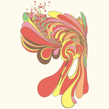 Expand, Women’s Crop T-shirt